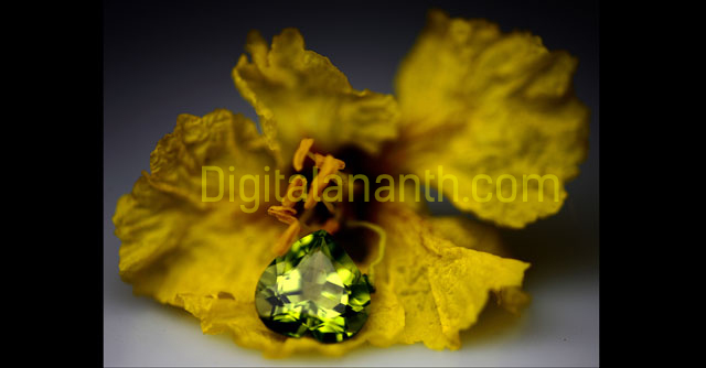 DigitalAnanth Product Photography Portfolio 7